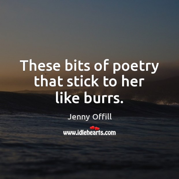 These bits of poetry that stick to her like burrs. Jenny Offill Picture Quote