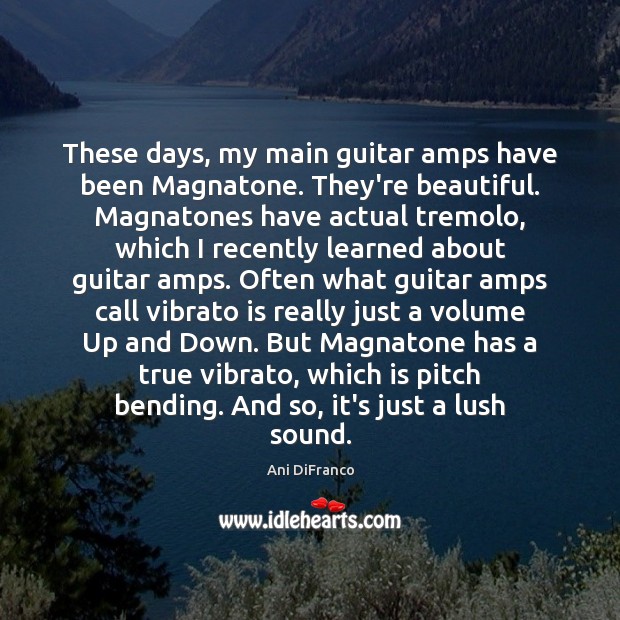 These days, my main guitar amps have been Magnatone. They’re beautiful. Magnatones Ani DiFranco Picture Quote
