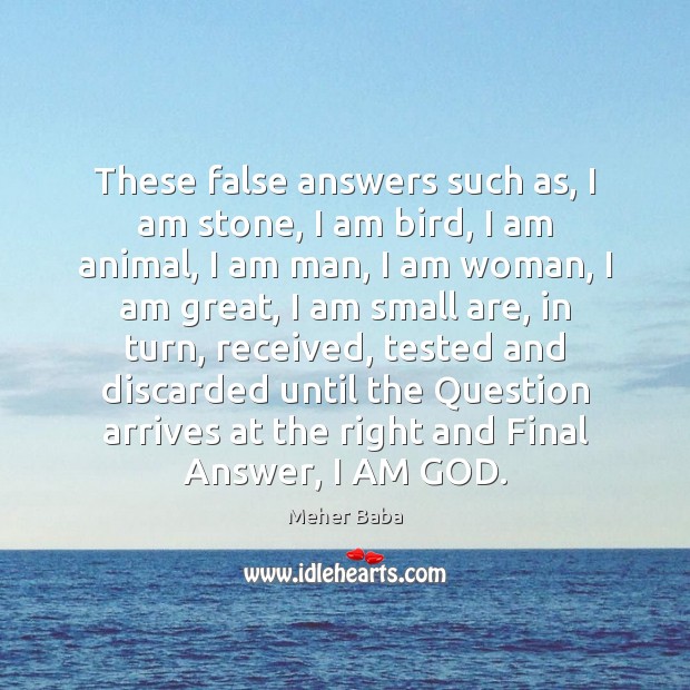 These false answers such as, I am stone, I am bird, I Meher Baba Picture Quote