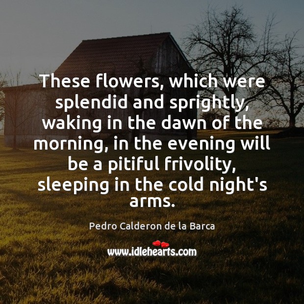 These flowers, which were splendid and sprightly, waking in the dawn of Pedro Calderon de la Barca Picture Quote