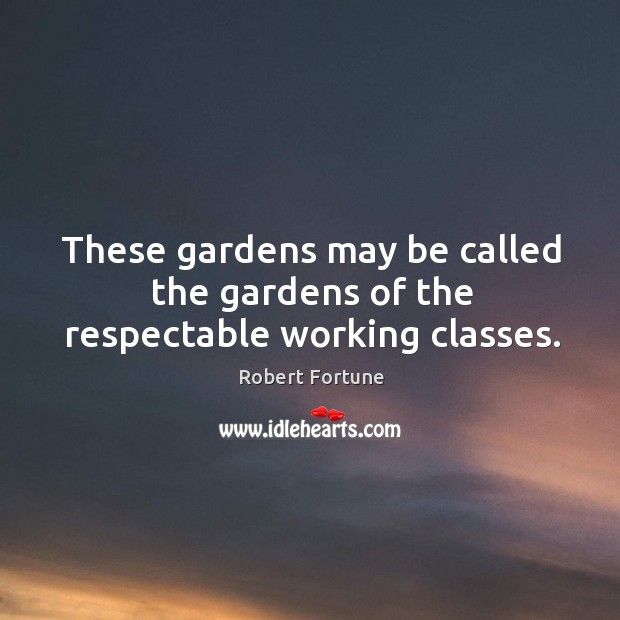 These gardens may be called the gardens of the respectable working classes. Robert Fortune Picture Quote
