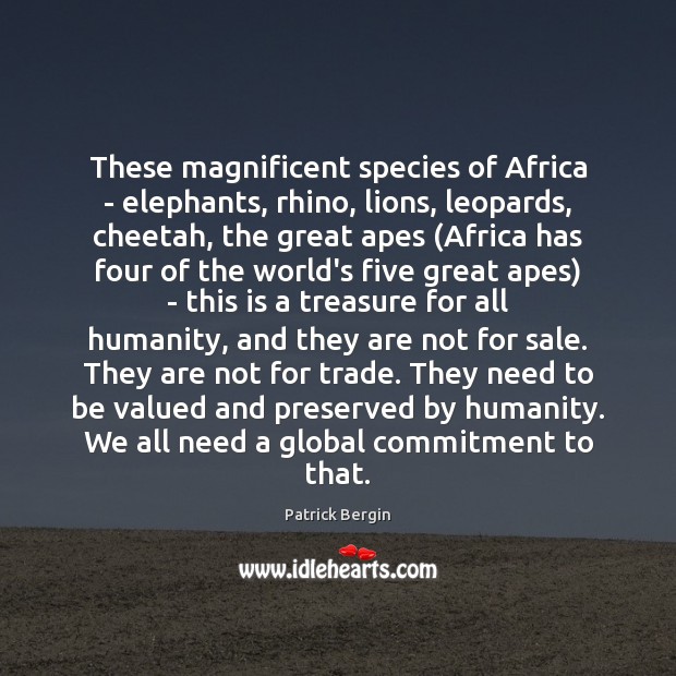 These magnificent species of Africa – elephants, rhino, lions, leopards, cheetah, the Image