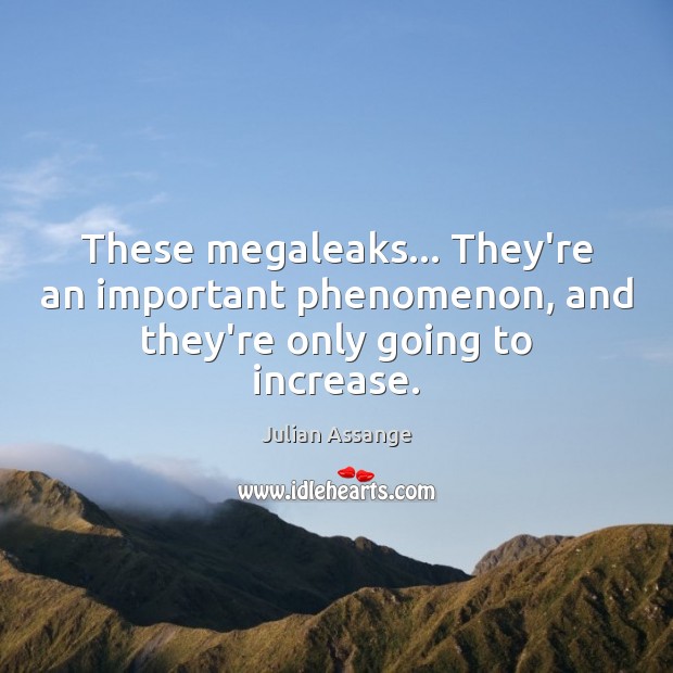 These megaleaks… They’re an important phenomenon, and they’re only going to increase. Julian Assange Picture Quote