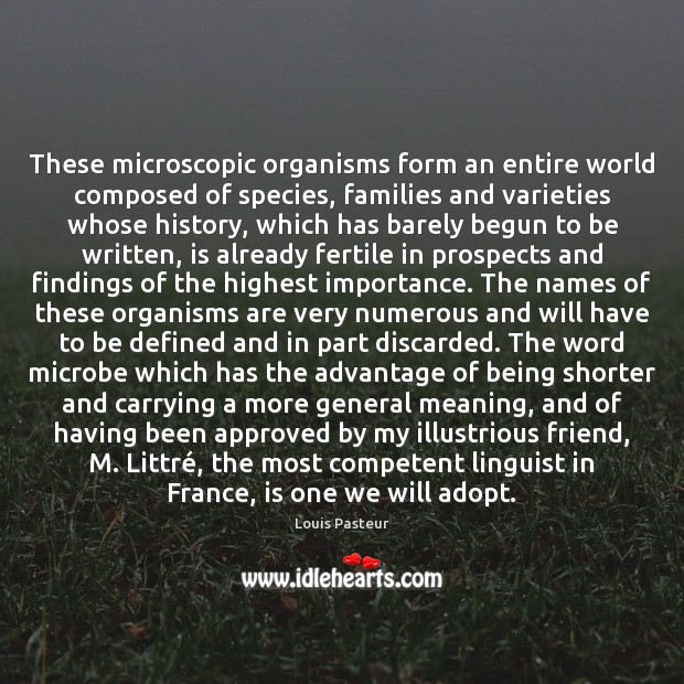 These microscopic organisms form an entire world composed of species, families and Louis Pasteur Picture Quote