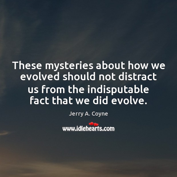 These mysteries about how we evolved should not distract us from the Image