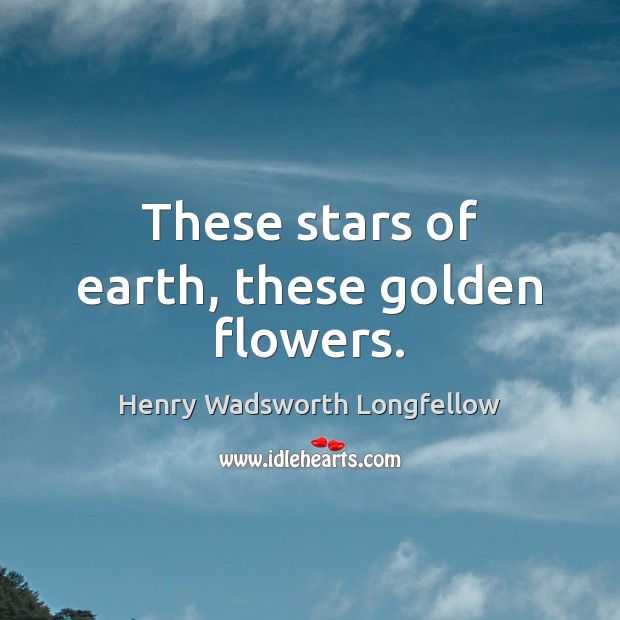 These stars of earth, these golden flowers. Henry Wadsworth Longfellow Picture Quote