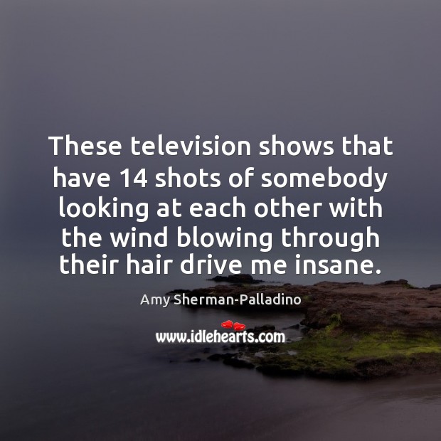 These television shows that have 14 shots of somebody looking at each other Amy Sherman-Palladino Picture Quote