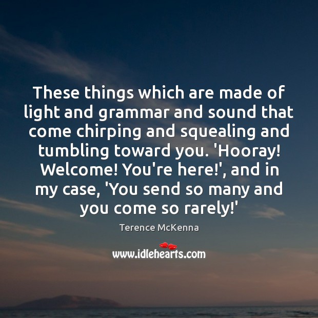 These things which are made of light and grammar and sound that Terence McKenna Picture Quote