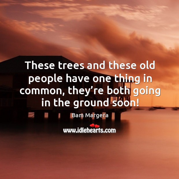 These trees and these old people have one thing in common, they’re both going in the ground soon! Bam Margera Picture Quote