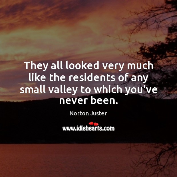 They all looked very much like the residents of any small valley Norton Juster Picture Quote
