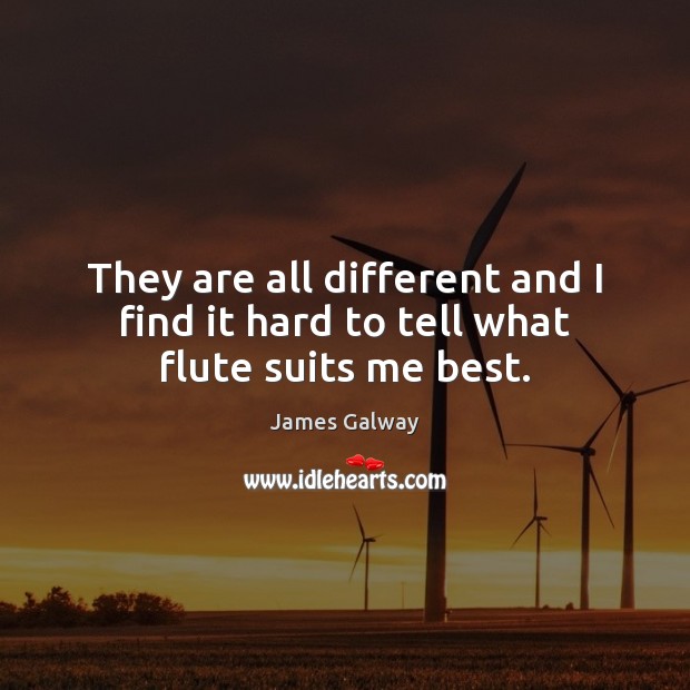 They are all different and I find it hard to tell what flute suits me best. James Galway Picture Quote