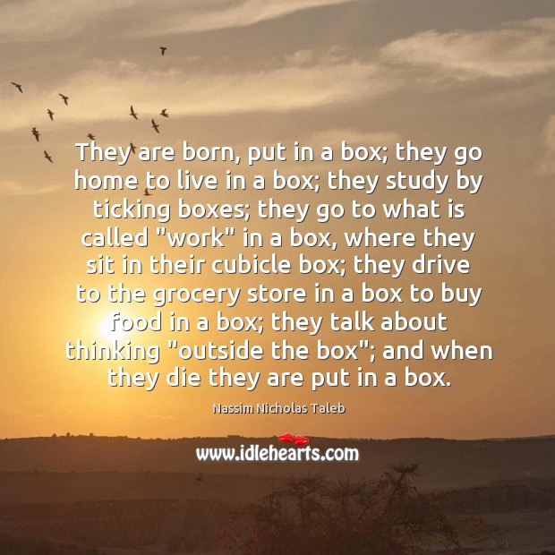 They are born, put in a box; they go home to live Image