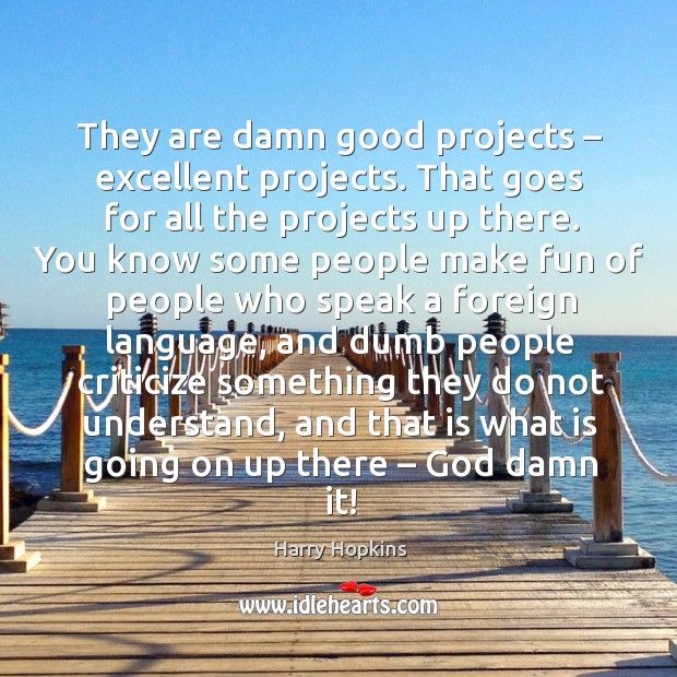 They are damn good projects – excellent projects. That goes for all the projects up there. Harry Hopkins Picture Quote