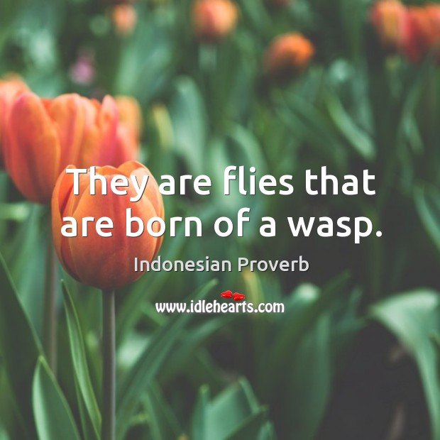 They are flies that are born of a wasp. Indonesian Proverbs Image