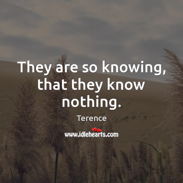 They are so knowing, that they know nothing. Terence Picture Quote