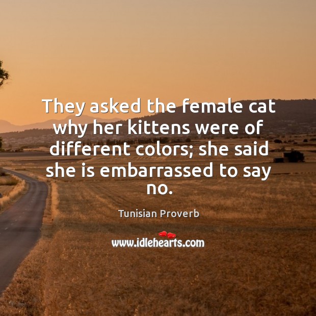 They asked the female cat why her kittens were of different colors Tunisian Proverbs Image