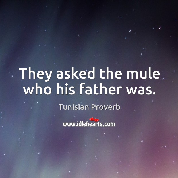 They asked the mule who his father was. Tunisian Proverbs Image