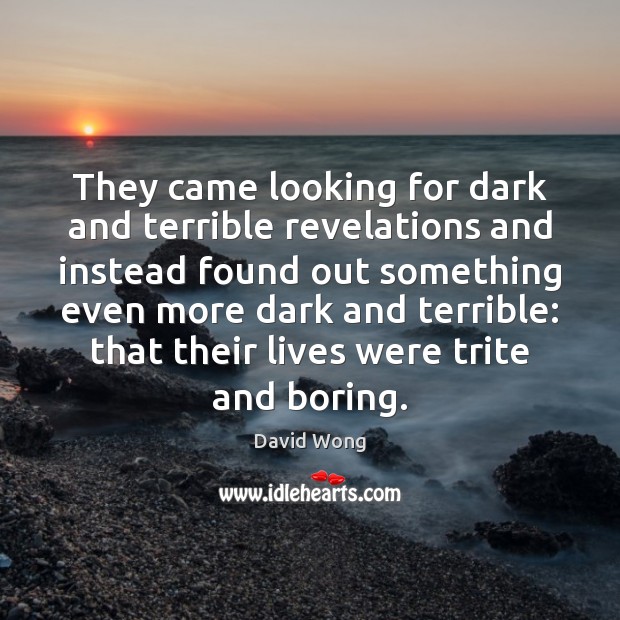 They came looking for dark and terrible revelations and instead found out David Wong Picture Quote