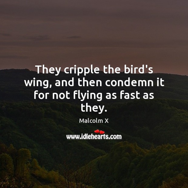 They cripple the bird’s wing, and then condemn it for not flying as fast as they. Malcolm X Picture Quote