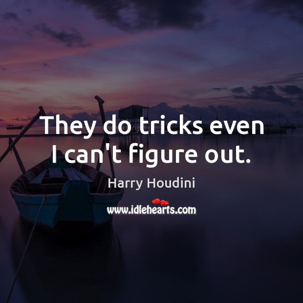 They do tricks even I can’t figure out. Harry Houdini Picture Quote