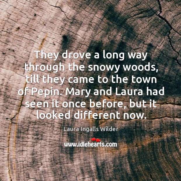 They drove a long way through the snowy woods, till they came to the town of pepin. Laura Ingalls Wilder Picture Quote