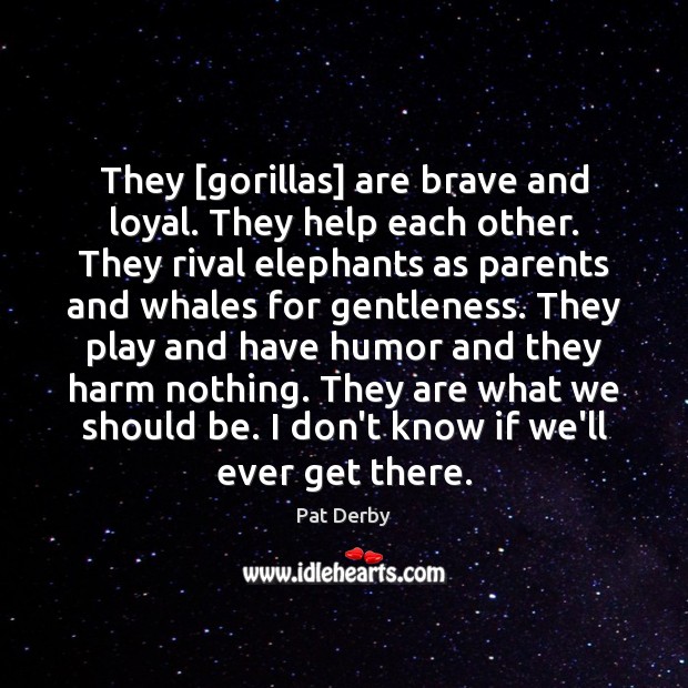 They [gorillas] are brave and loyal. They help each other. They rival Pat Derby Picture Quote