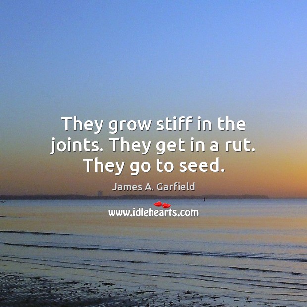They grow stiff in the joints. They get in a rut. They go to seed. James A. Garfield Picture Quote