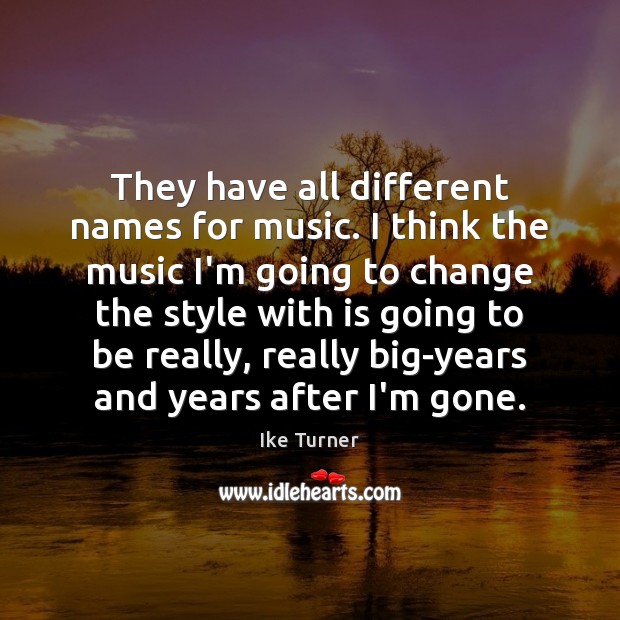 They have all different names for music. I think the music I’m Ike Turner Picture Quote