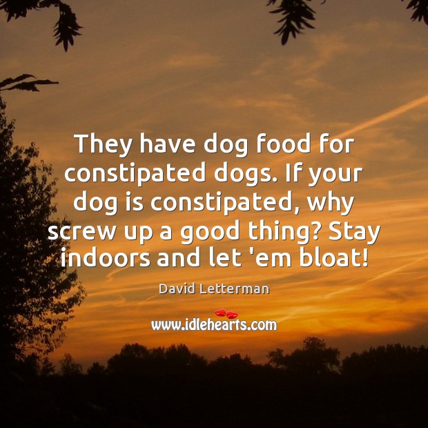 They have dog food for constipated dogs. If your dog is constipated, David Letterman Picture Quote