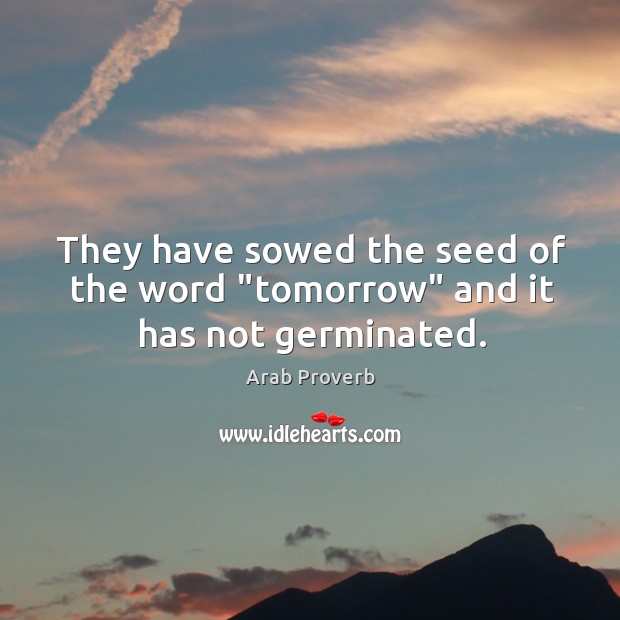 They have sowed the seed of the word “tomorrow” and it has not germinated. Arab Proverbs Image