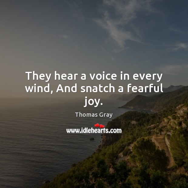 They hear a voice in every wind, And snatch a fearful joy. Thomas Gray Picture Quote
