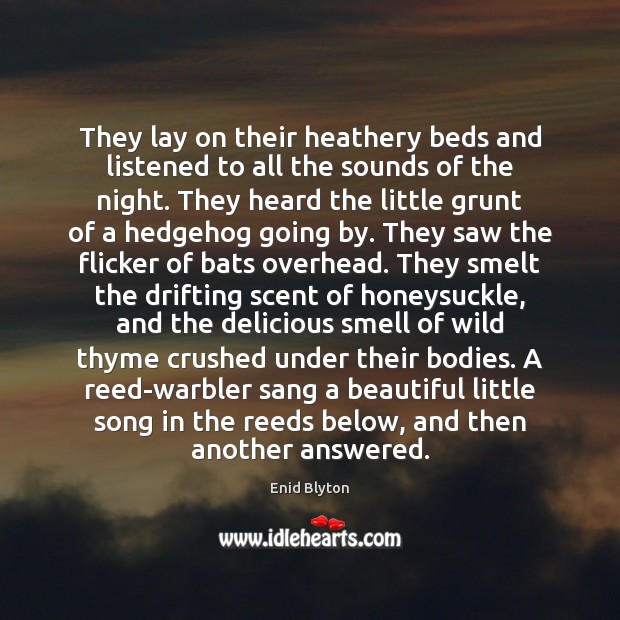 They lay on their heathery beds and listened to all the sounds Image