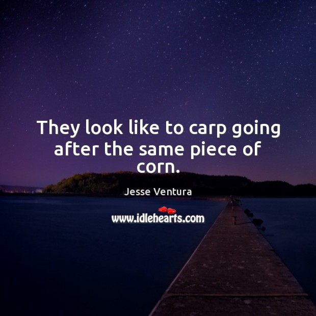 They look like to carp going after the same piece of corn. Jesse Ventura Picture Quote