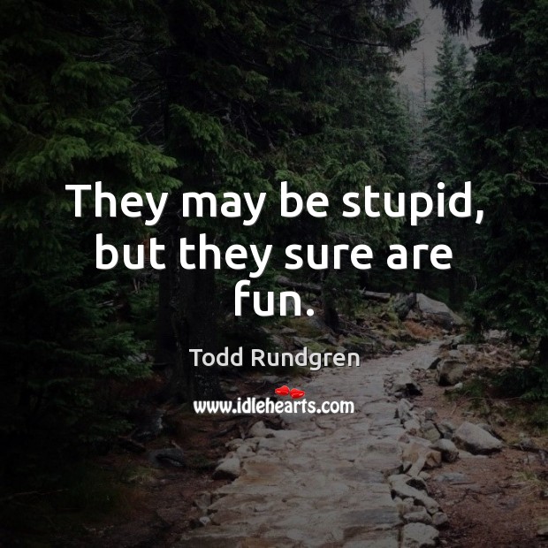 They may be stupid, but they sure are fun. Todd Rundgren Picture Quote