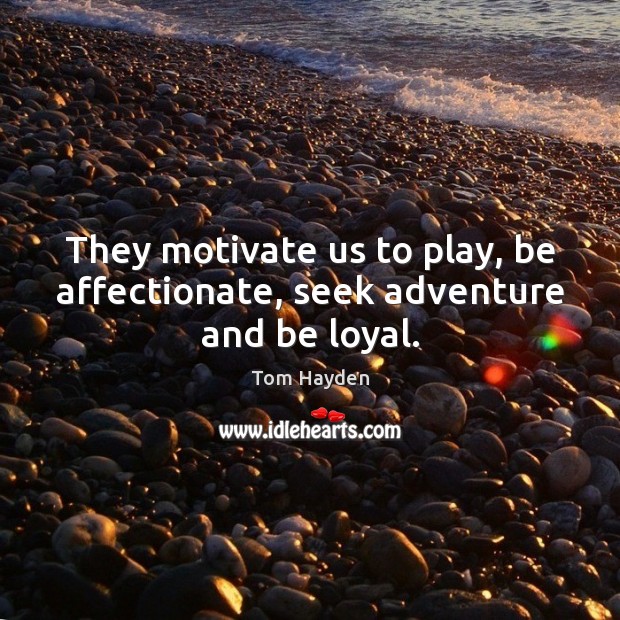 They motivate us to play, be affectionate, seek adventure and be loyal. Tom Hayden Picture Quote