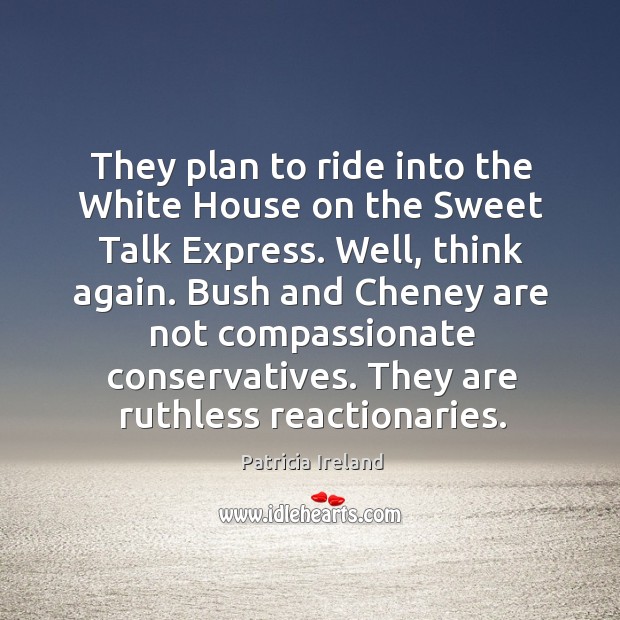 They plan to ride into the white house on the sweet talk express. Well, think again. Patricia Ireland Picture Quote