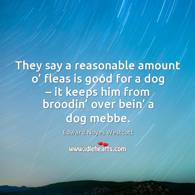 They say a reasonable amount o’ fleas is good for a dog – it keeps him from broodin’ over bein’ a dog mebbe. Edward Noyes Westcott Picture Quote