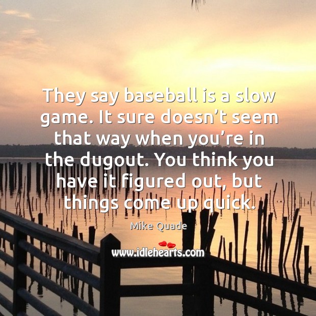 They say baseball is a slow game. It sure doesn’t seem that way when you’re in the dugout. Mike Quade Picture Quote