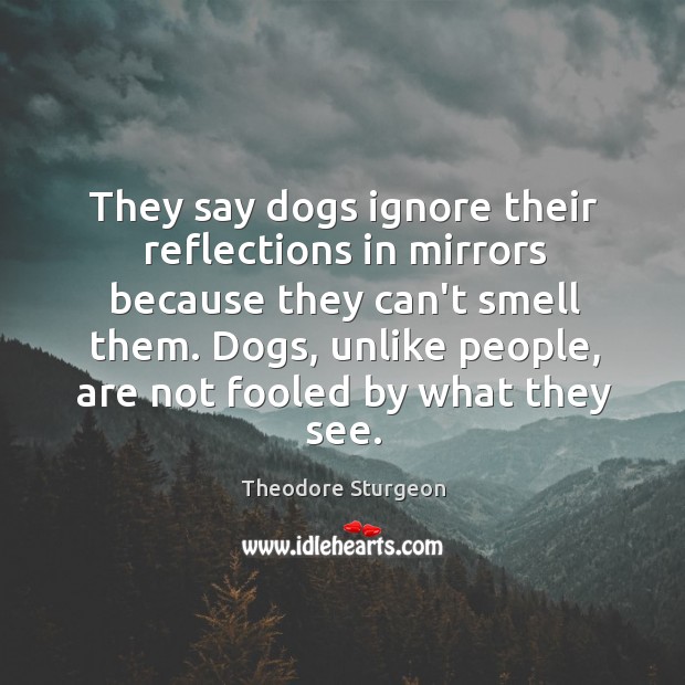 They say dogs ignore their reflections in mirrors because they can’t smell Theodore Sturgeon Picture Quote