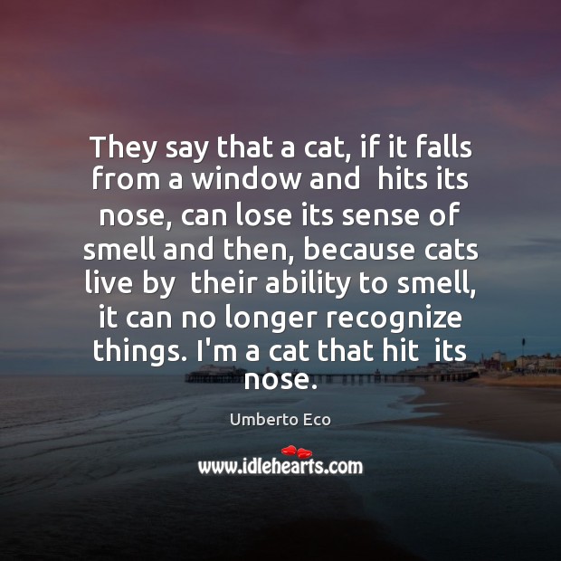 They say that a cat, if it falls from a window and Image