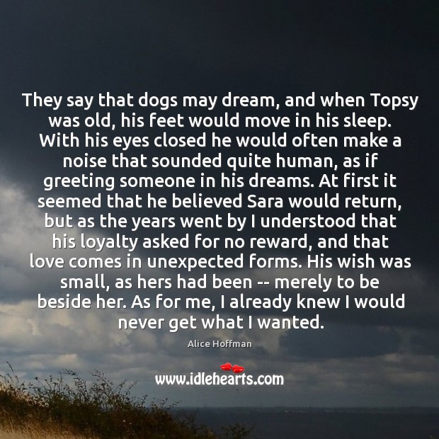 They say that dogs may dream, and when Topsy was old, his Alice Hoffman Picture Quote