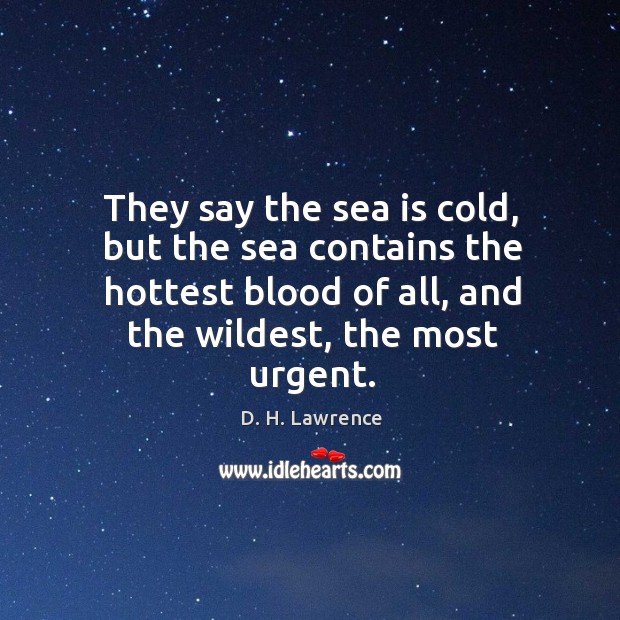They say the sea is cold, but the sea contains the hottest D. H. Lawrence Picture Quote