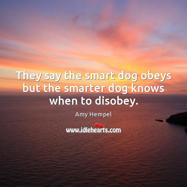 They say the smart dog obeys but the smarter dog knows when to disobey. Amy Hempel Picture Quote