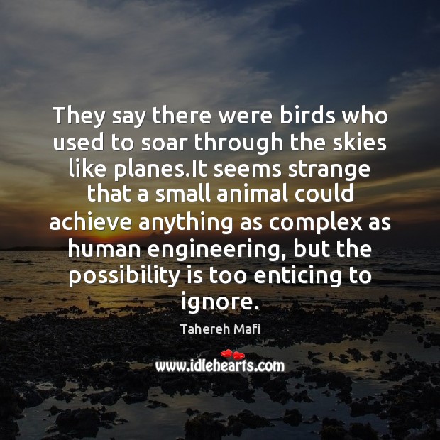They say there were birds who used to soar through the skies Tahereh Mafi Picture Quote