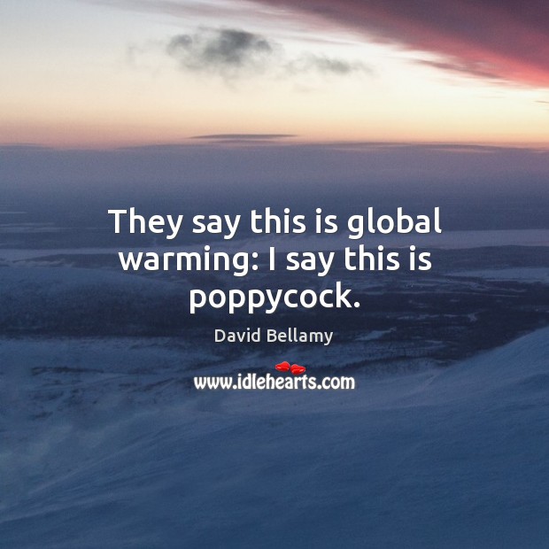 They say this is global warming: I say this is poppycock. David Bellamy Picture Quote