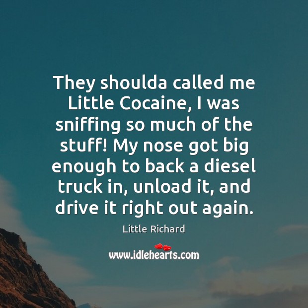 They shoulda called me Little Cocaine, I was sniffing so much of Little Richard Picture Quote