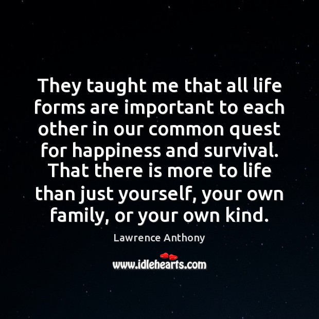 They taught me that all life forms are important to each other Lawrence Anthony Picture Quote