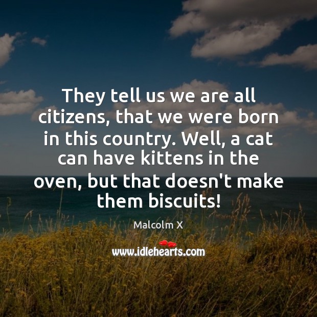 They tell us we are all citizens, that we were born in Malcolm X Picture Quote