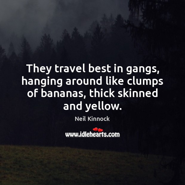 They travel best in gangs, hanging around like clumps of bananas, thick Neil Kinnock Picture Quote