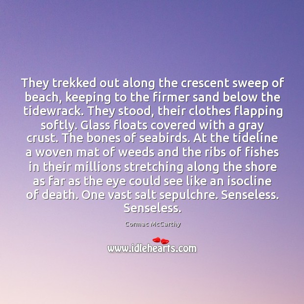 They trekked out along the crescent sweep of beach, keeping to the Cormac McCarthy Picture Quote